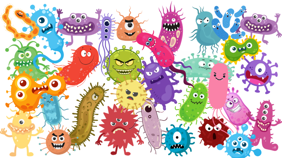 Cross-contamination and how to control it? 2 bacteria causing contamination