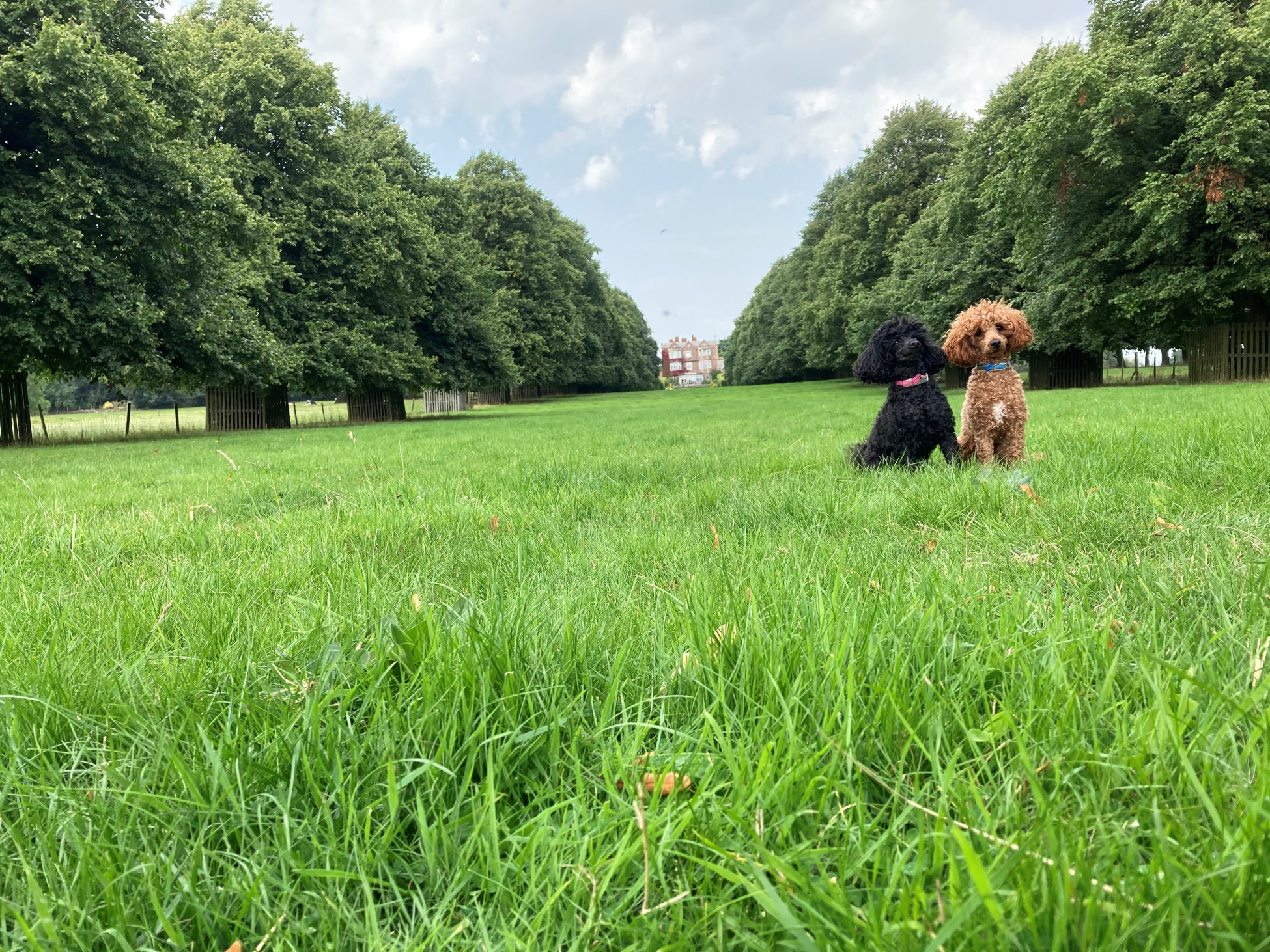 6273f3cf0514c bp cover image